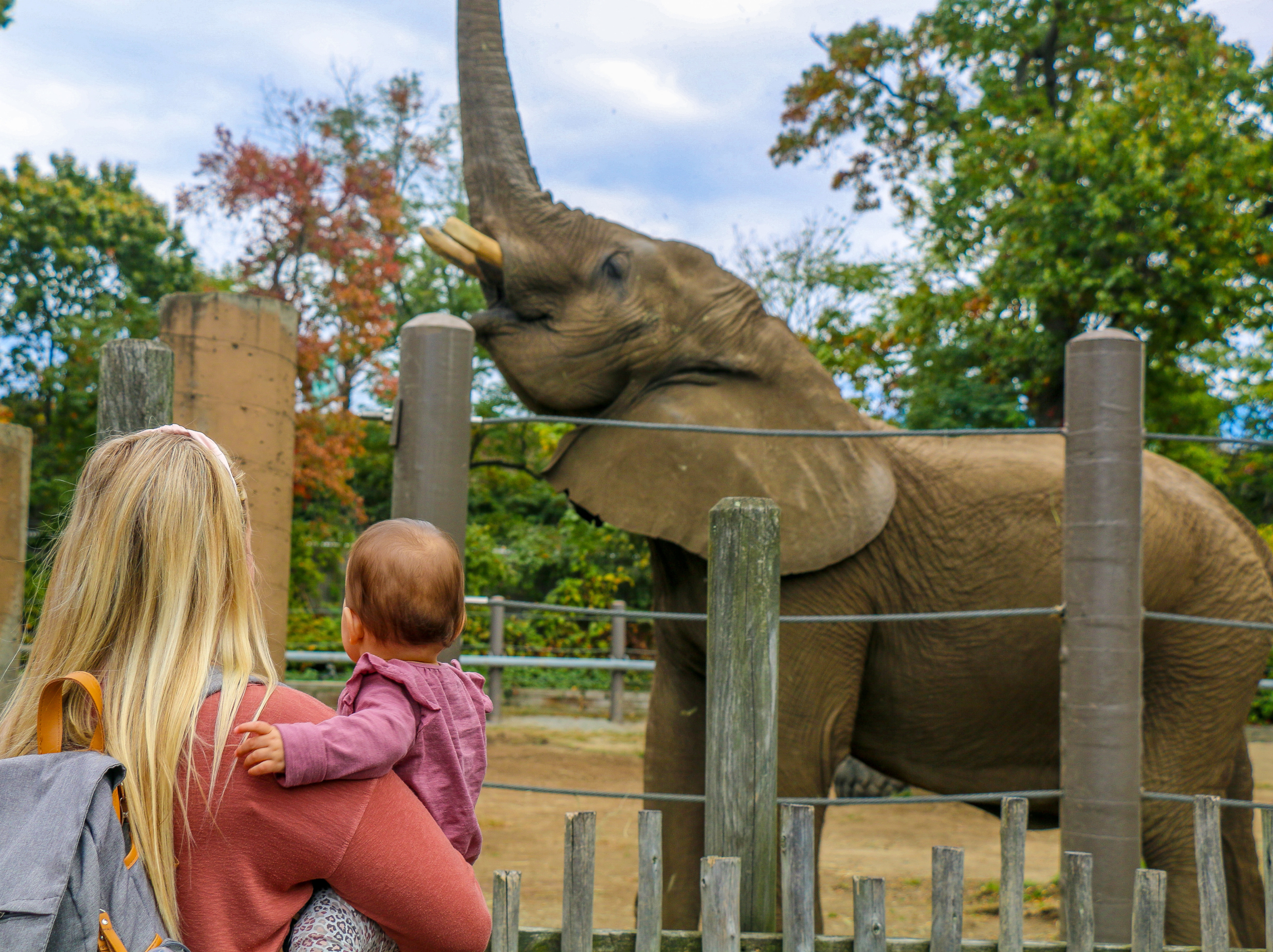 Kids enjoying an animal encounter at the zoo