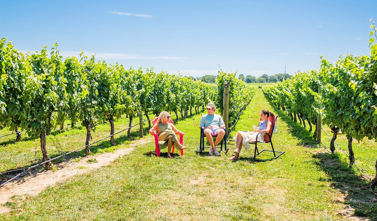 Friends doing wine tasting at Newport Vineyards